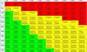 Zatrucie czekoladą u psa: Objawy, pierwsza pomoc, zapobieganie