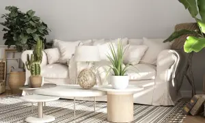 Sofá blanco, plantas, maletas vintage y alfombra geométrica crean un ambiente de **estilo rústico moderno**.
