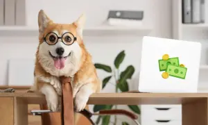 En glad hund på kontoret med glasögon och slips. Bredvid en laptop med penga-symboler.