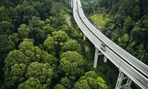 Droga wijąca się przez gęsty las, z ciężarówką symbolizującą pkd transport drogowy.