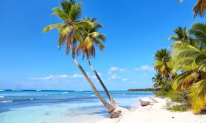 Rajska plaża z palmami i turkusową wodą. Idealne miejsce na wakacje, zanim nadejdzie sezon huraganów na Karaibach.
