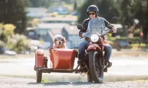 Hombre en moto con su perro en un sidecar para perros moto, ambos con gafas de sol.