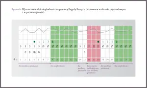 Owulacja po okresie? Jak obliczyć dni płodne i rozpoznać objawy