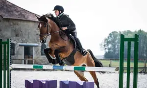 Jeździec w kasku i czarnej kurtce pokonuje przeszkodę na brązowym koniu. Czy jazda konna odchudza? Ten sport to świetny trening!