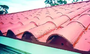 Tejas de terracota rojas y curvas bajo un cielo azul con árboles al fondo.