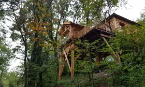Une magnifique cabane perchée dans les arbres, au cœur d'une forêt jurassienne aux couleurs d'automne.