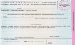 Mandat karny z numerem 0123456. Dokument zawiera dane sprawcy, opis wykroczenia i miejsce na podpisy.