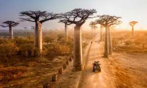 Najlepsze atrakcje na Madagaskarze, które musisz zobaczyć podczas wakacji
