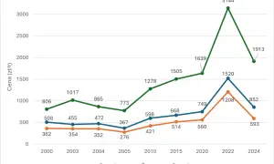 Wykres liniowy pokazujący ceny pszenicy, żyta i rzepaku w latach 2000-2024.