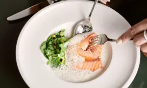 Ein zartes Lachsfilet mit Schaum und Grünzeug auf einem Teller. Ein Genuss in einem Berliner Fischrestaurant.
