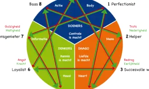Diagram toont verschillende type mensen, zoals de Perfectionist, Helper en Succesvolle werker, met hun kenmerken en onderlinge relaties.