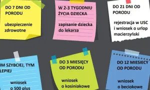 Terminy na zameldowanie dziecka i formalności: ubezpieczenie, lekarz, USC, urlop macierzyński, 500+, becikowe.