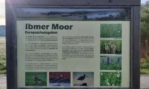 Das Ibmer Moor, ein Europaschutzgebiet, ist ein Paradies für seltene Vögel und Pflanzen. Hier brüten Brachvögel, Bekassinen und Kiebitze.