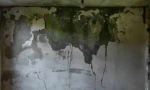 Zacieki i zielona pleśń w piwnicy, łuszcząca się farba, pęknięcia na ścianie i sufit z żarówką.