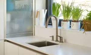 Rośliny i biała konewka na parapecie w kuchni.