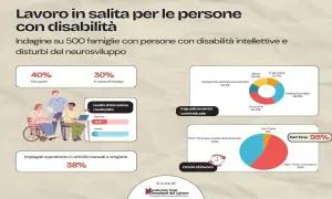 Lavoro e invalidità civile: il 40% è occupato, il 30% cerca impiego. Il part time volontario è al 55%, con il 95% che sceglie questa modalità.