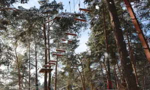 Park linowy Kielce: Który wybrać? Przewodnik dla rodzin!