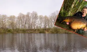 Kobieta trzyma ogromnego karpia, który może być rekord świata karp 100 kg.