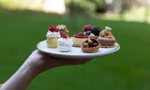 Piatto con deliziosi pasticcini mignon, perfetti per ogni occasione. Idee per dolci raffinati.