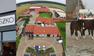 Stadnina Zbyszko: Kontrowersje, historia i oferta dla miłośników koni