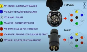 Schéma prise 7 broches : connecteur mâle et femelle avec numérotation et couleurs des fils pour feux de remorque.