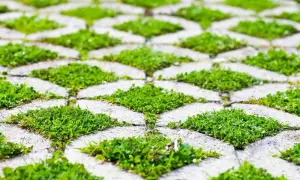 Płyty ażurowe z betonu, w których rośnie trawa, tworzą zielony wzór. Idealny wybór, jeśli zastanawiasz się, jaki beton na płyty ażurowe.