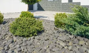 Nowoczesne aranżacje kamienie w ogrodzie galeria: szare kamienie, bukszpany i jałowiec tworzą minimalistyczny krajobraz.