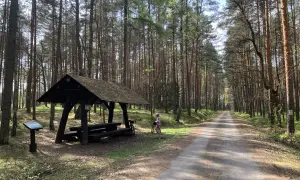 Wiatka i rower czekają na Ciebie na trasach rowerowych w Lasach Janowskich. Czas na przygodę!