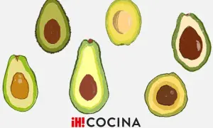 Ilustración de varios tipos de aguacate cortados por la mitad, mostrando sus diferentes formas y tamaños.