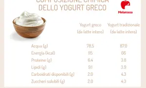 Yogurt greco vs. tradizionale: il greco ha più lipidi e calorie, quindi lo yogurt greco fa ingrassare più facilmente.