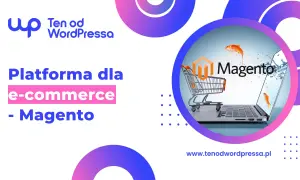 Platforma e-commerce Magento. Tworzymy nowoczesne sklepy internetowe, które przyciągają klientów.