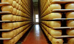Skąd pochodzi ser parmezan? Odkryj jego fascynującą historię i regiony produkcji