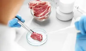 Ile kosztuje badanie mięsa u weterynarza? Sprawdź ceny i opcje testów