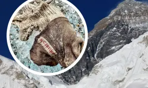 Ein vergilbter Handschuh mit der Aufschrift "A. Irvine" liegt auf Eis vor dem steilsten Berg der Welt, dem Mount Everest.