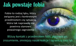 Jak powstaje fobia? To lęk związany z czymś, co nie stanowi zagrożenia. Zrozumienie fobii zmniejsza lęk.