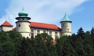 Najciekawsze atrakcje w Nowym Wiśniczu, które musisz zobaczyć