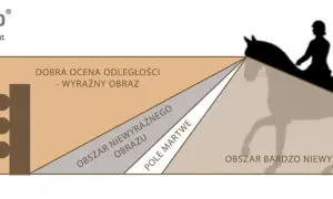 Ilustracja pokazuje, jak widzi koń: obszar dobrej oceny odległości z wyraźnym obrazem, obszar niewyraźnego obrazu, pole martwe i obszar bardzo niewyraźnego obrazu.