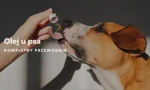 Olej z łososia dla psa od jakiego wieku - uniknij błędów w diecie