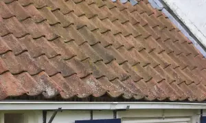 Tegole rosse consumate dal tempo, con muschio e licheni, suggeriscono la necessità di come sistemare un vecchio tetto per proteggere la casa.