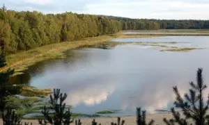 Chrzypsko Wielkie atrakcje - odkryj ukryte skarby tej miejscowości