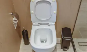 WC bianco con tavoletta alzata, scopino, portarotolo e cestino. La distanza scarico wc dal muro sembra adeguata per un uso confortevole.