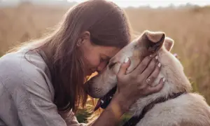 Tiefe **Bindung Hund Mensch**: Eine Frau umarmt ihren Hund innig in einem Feld. Ihre Köpfe berühren sich, ein Zeichen tiefer Verbundenheit.