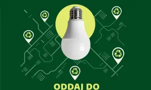 Już nie świeci? Dowiedz się, gdzie wyrzucić żarówki. Oddaj do elektrośmieci.