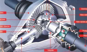 Przekrój mechanizmu różnicowego (dyferencjał) z widocznymi kołami zębatymi, łożyskami i półosią.