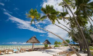 Rajski Zanzibar, palmy, biały piasek i turkusowa woda. Zastanawiasz się, ile się leci na Zanzibar? To podróż do raju!