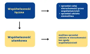 Współwłaściciel nieruchomości: Co możesz, a czego nie? Poznaj prawa!
