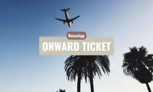 Flugzeug über Palmen, Reise-Tipp: Onward Ticket Erfahrungen für deine nächste Reise.