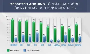 Stapeldiagram visar hur diafragma andning förbättrar koncentration, energi, sömn, humör, minskar smärta, magproblem, oro och stress.
