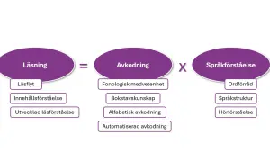 Diagram visar att läsning är en procedure svenska som bygger på avkodning och språkförståelse.