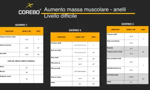 Programma di allenamento full body per aumento massa muscolare con anelli, livello difficile. Tre giorni di esercizi intensi.